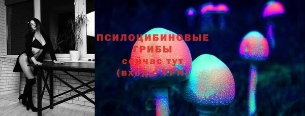 ALPHA PVP Михайловск