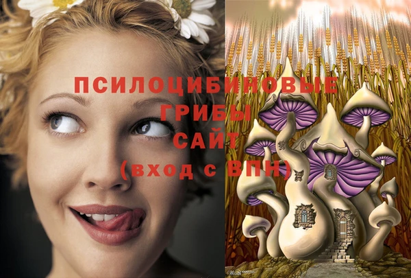 МДМА Михайлов